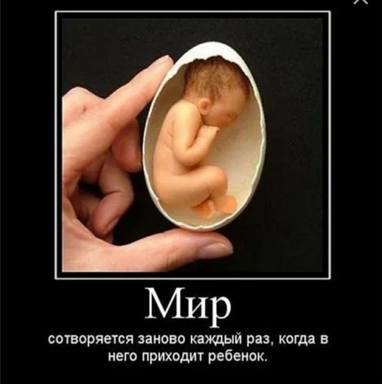 Мемы про тест на беременность