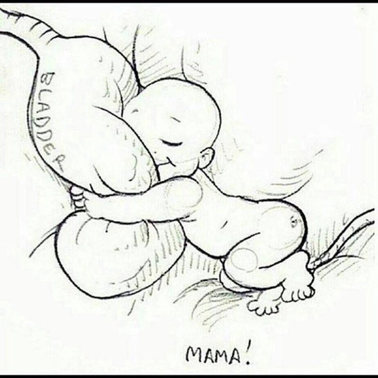 Беременная прикол