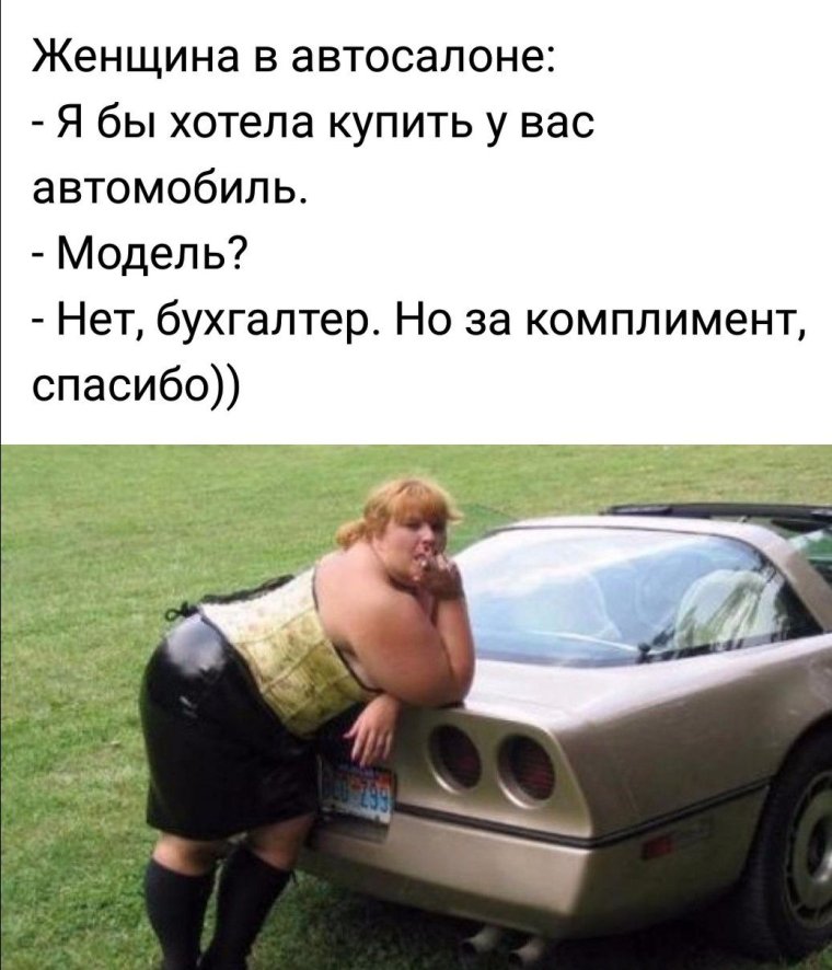 Толстая женщина и автомобиль