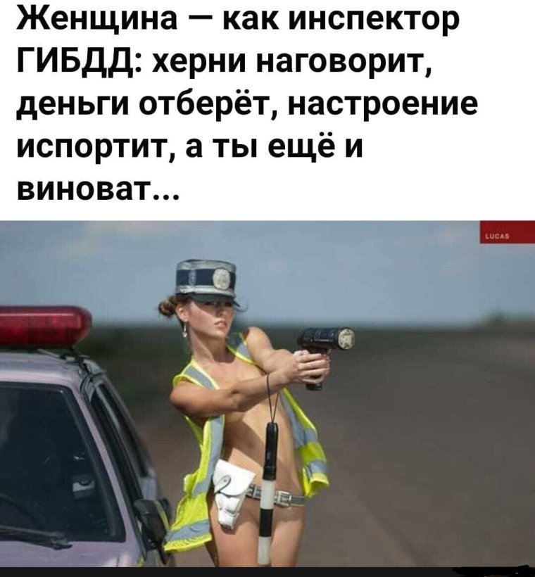 Прикольные картинки для поднятия настроения