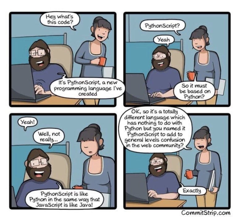 Шутки про питон язык программирования