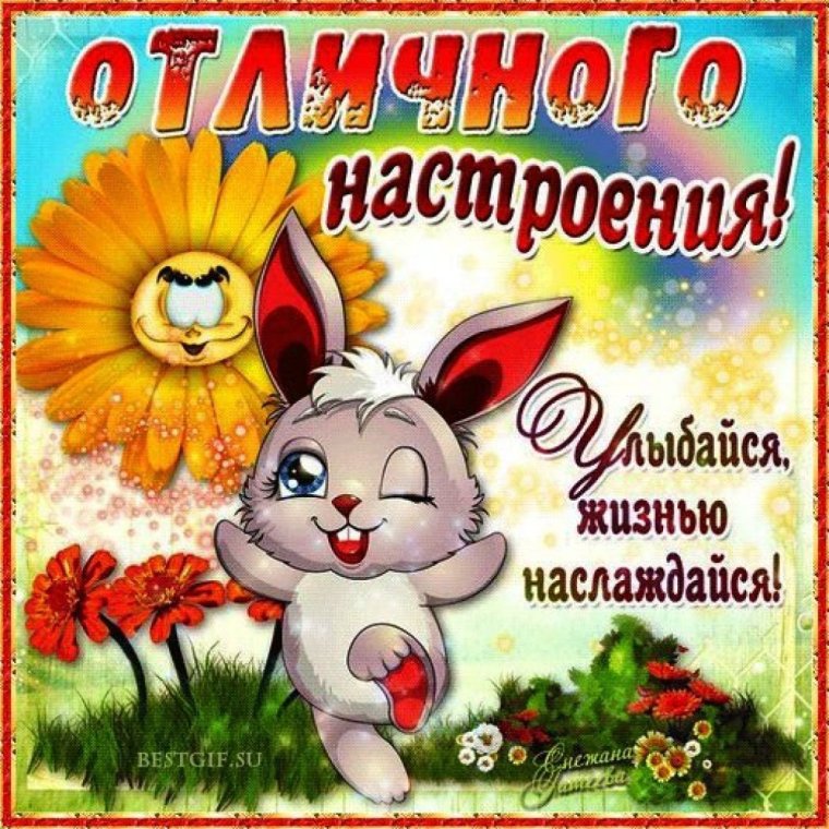 Открытки с добрым днём