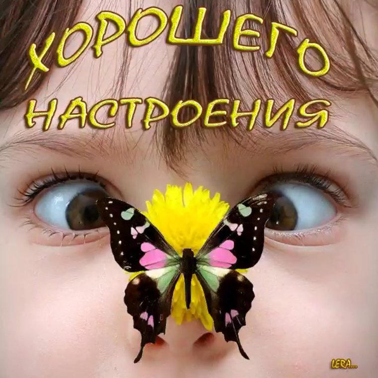 Позитивные пожелания на день