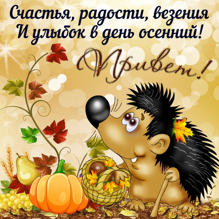 Хорошего дня прикольные