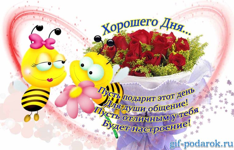 Открытки с добрым днём прикольные