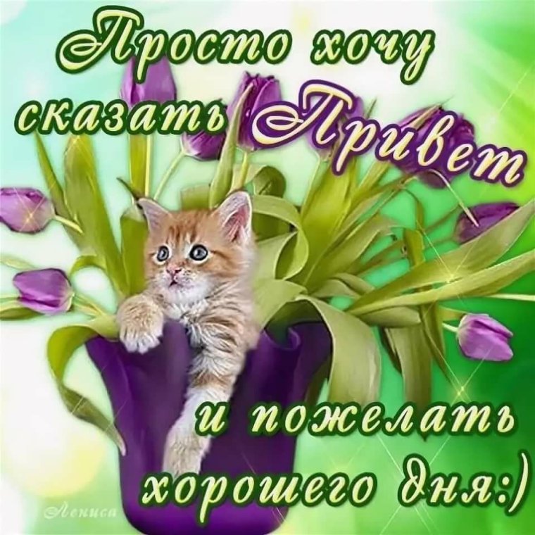 С добрым утром и хорошим днём позитив