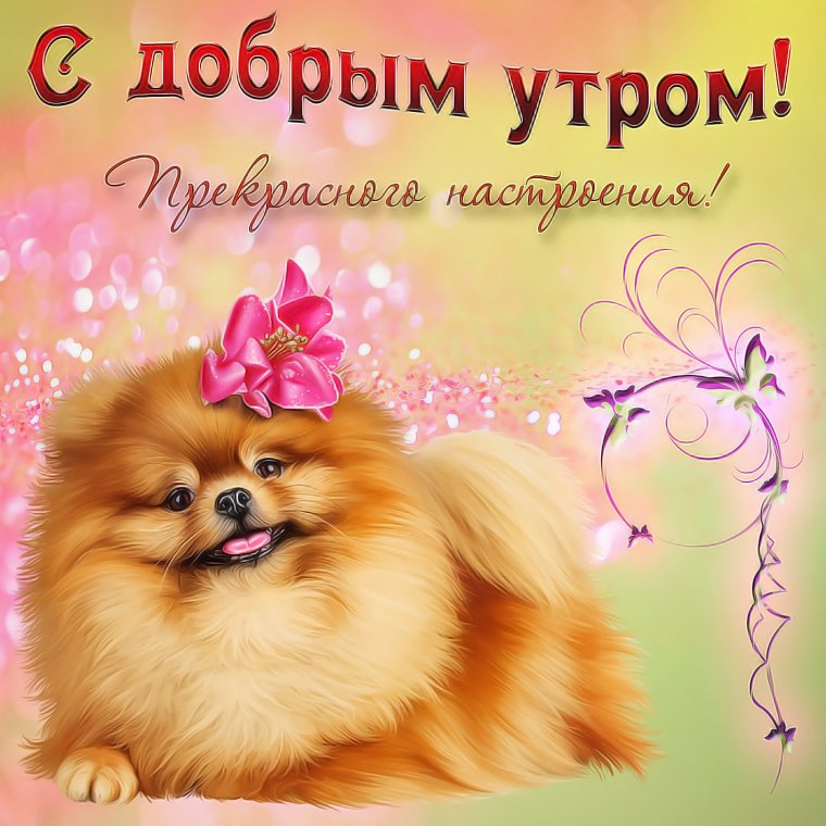 Красивые открытки с пожеланиями хорошего дня