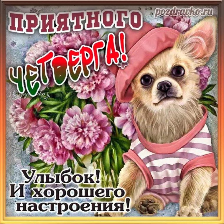 Летнее настроение