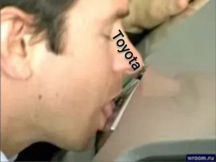 Рено с мохнатой