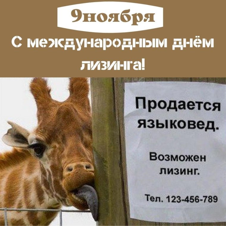 Лизинг прикольные картинки