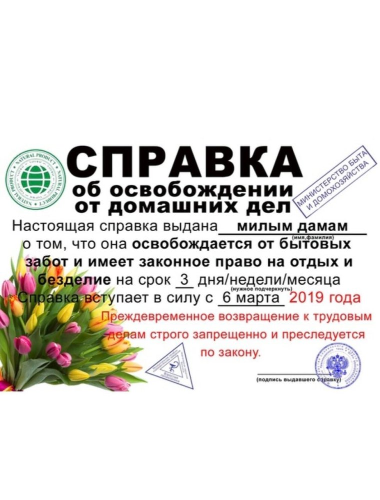 Справка прикол