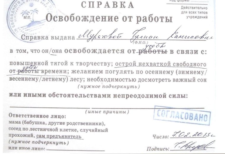 Сертификат на освобождение от домашних дел