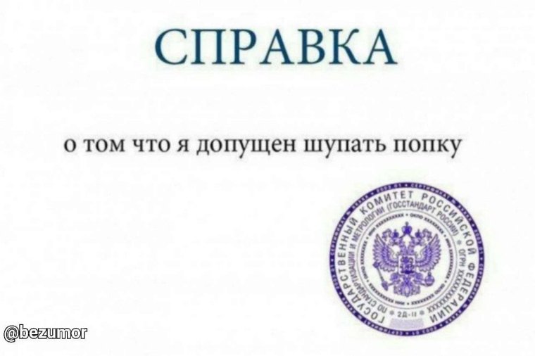 Справка на физкультуру о группе здоровья в школу
