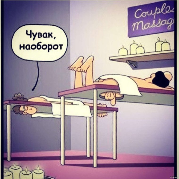 Кот сидит на голове