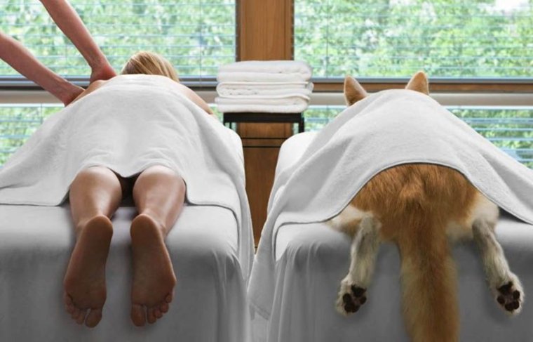 Массажист карикатура