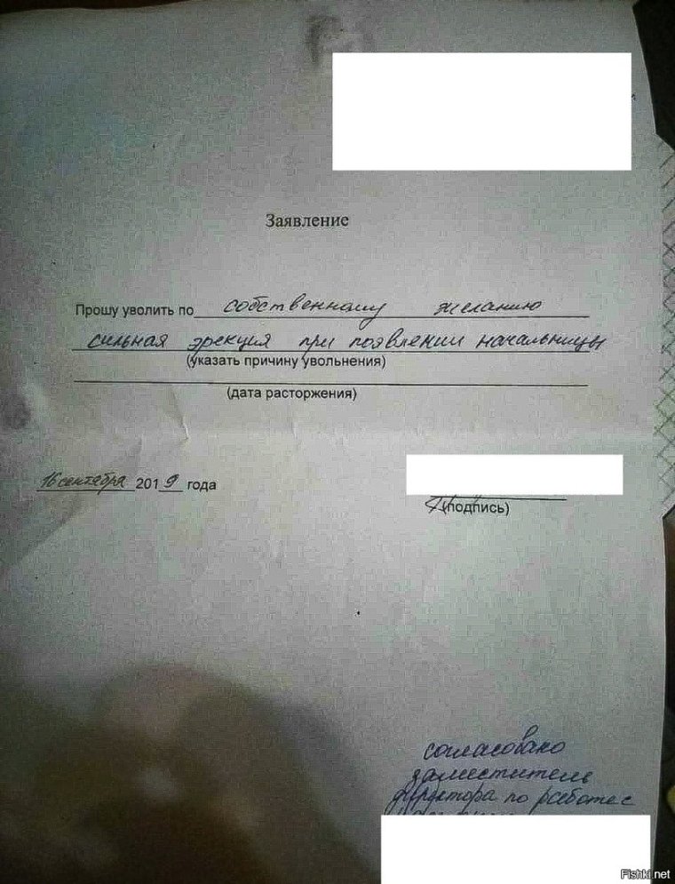 Смешные заявления