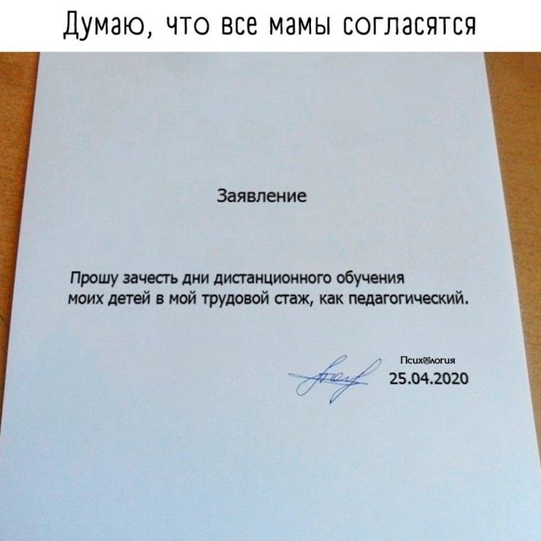 Смешные заявления