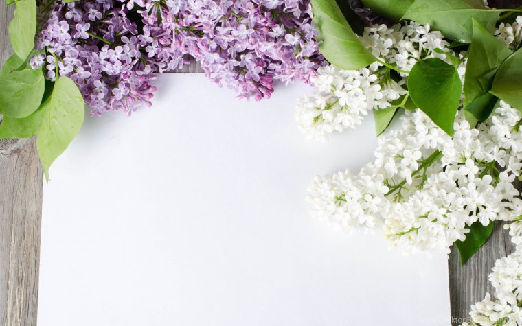 Креативное поздравление с днем ситцевой свадьбы