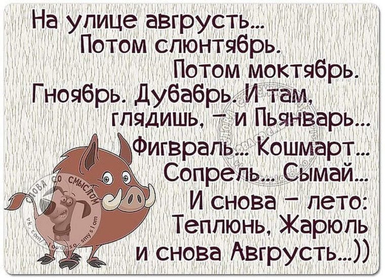 Смешные цитаты