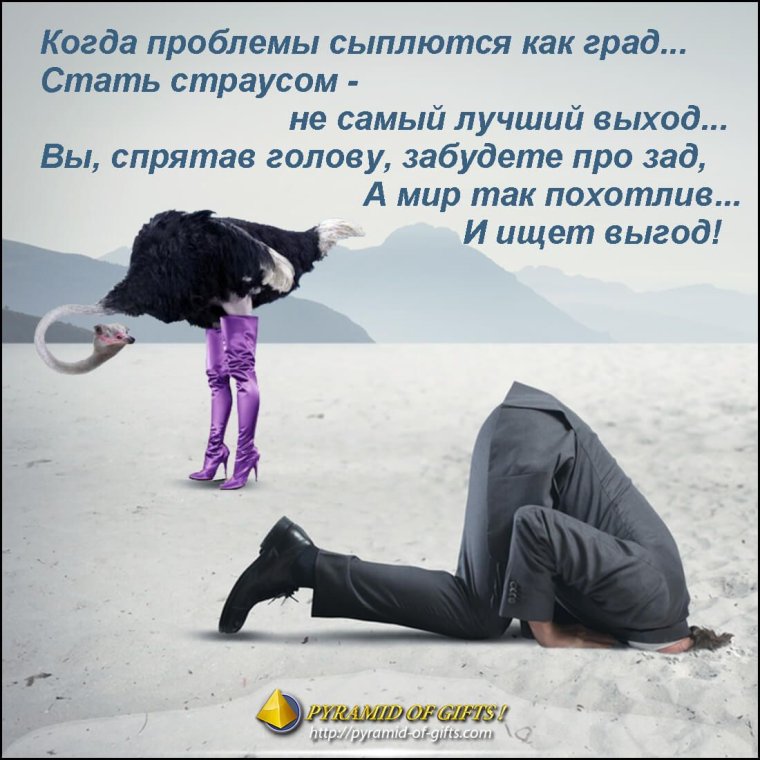 Смешные анекдоты