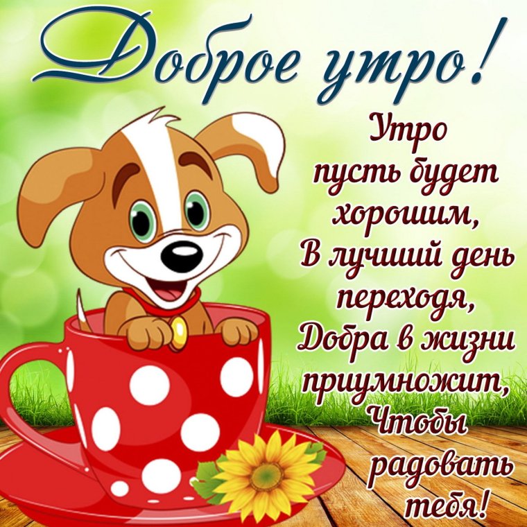 Пожелания доброго утра прикольные