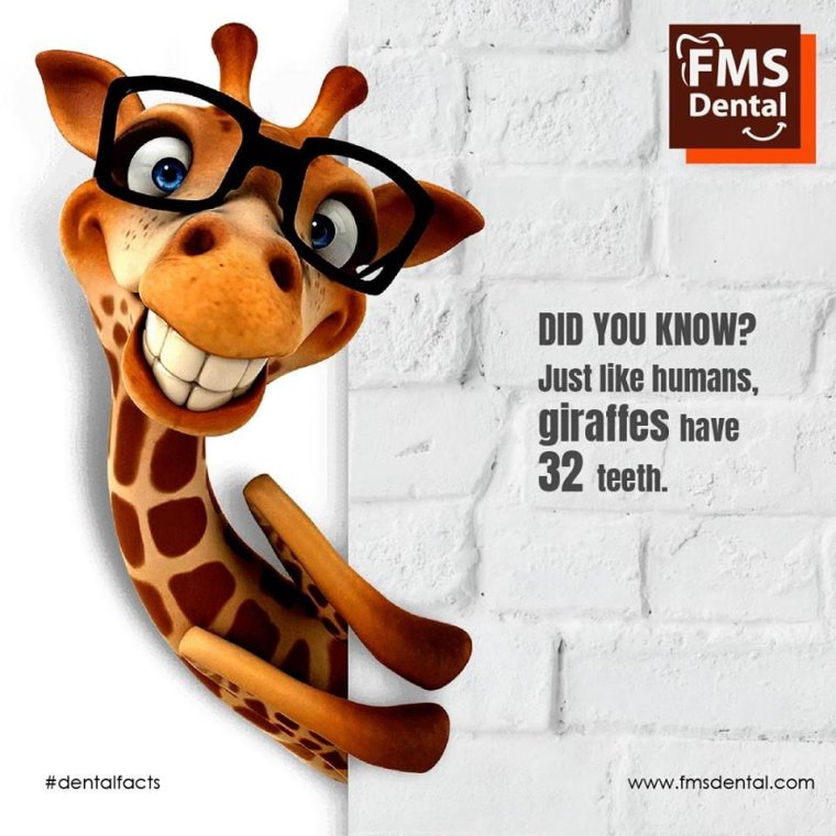 Пожелание отличного и позитивного настроя