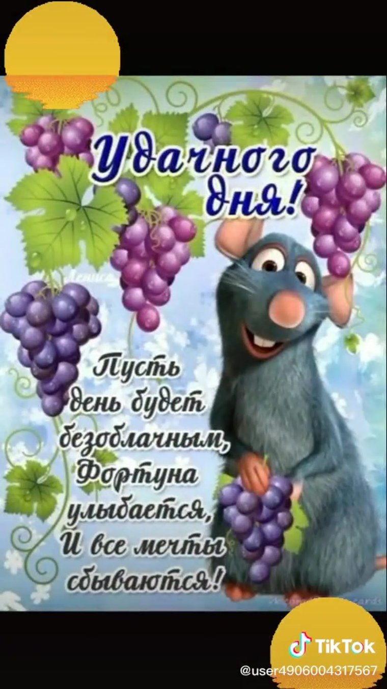 Пожелания доброго утра прикольные