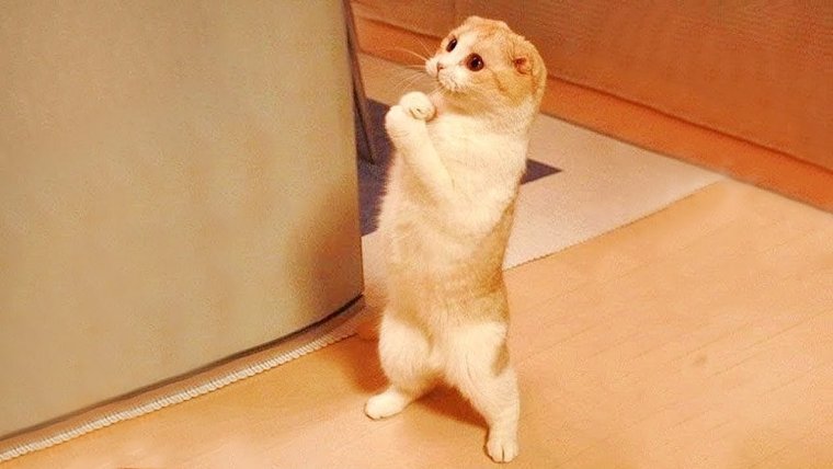 С днём рождения Лариса прикольные