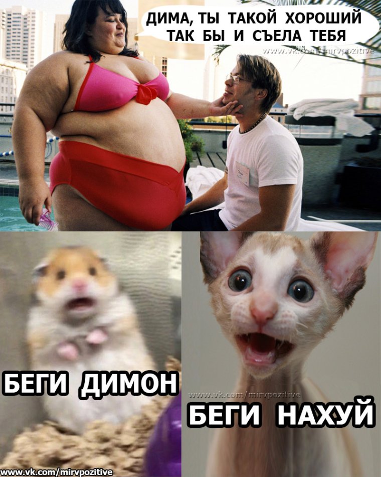 Приколы с именем Димон