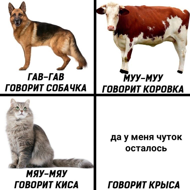 Приколы про Диму