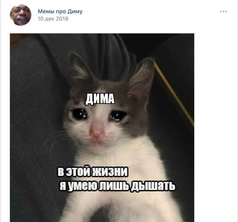 Мемы с именем Дима