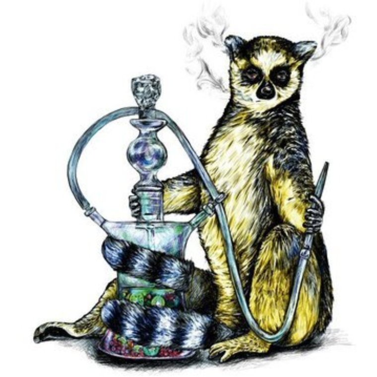 Животные с кальяном