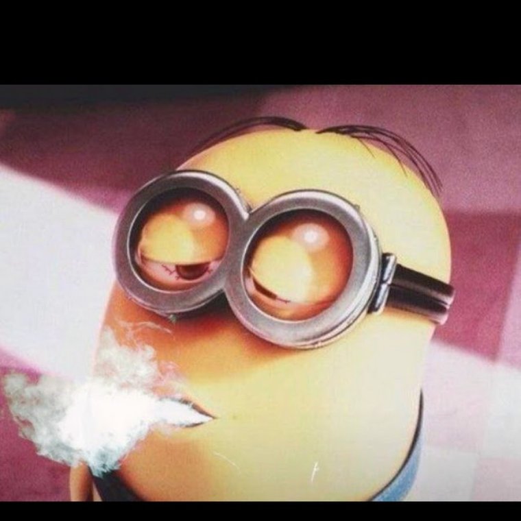 Миньон курит