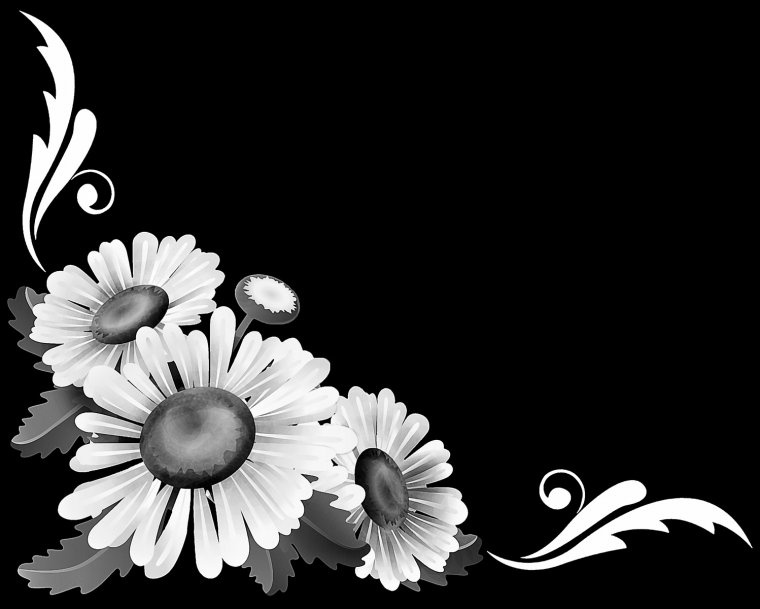 Ромашки на памятник