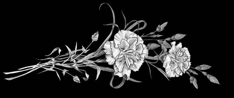 Гвоздики гравировка