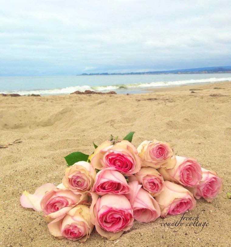 Цветы на берегу моря