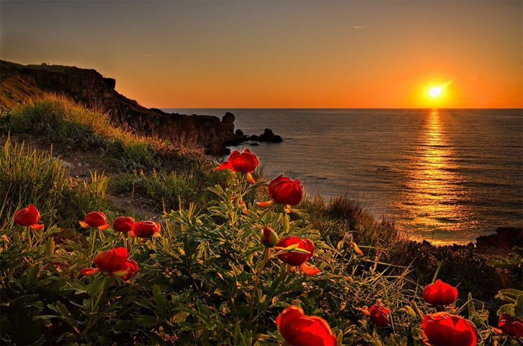 Девушка на море с цветами