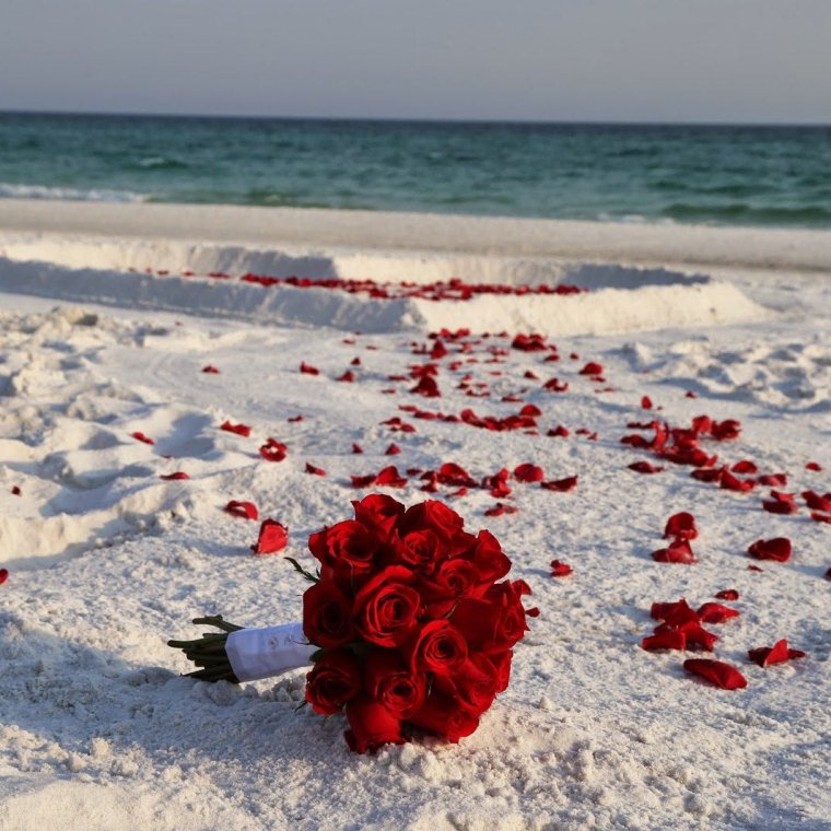 Цветы на берегу моря