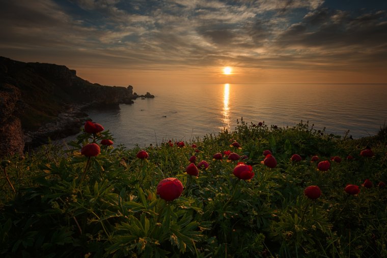 Столик у моря