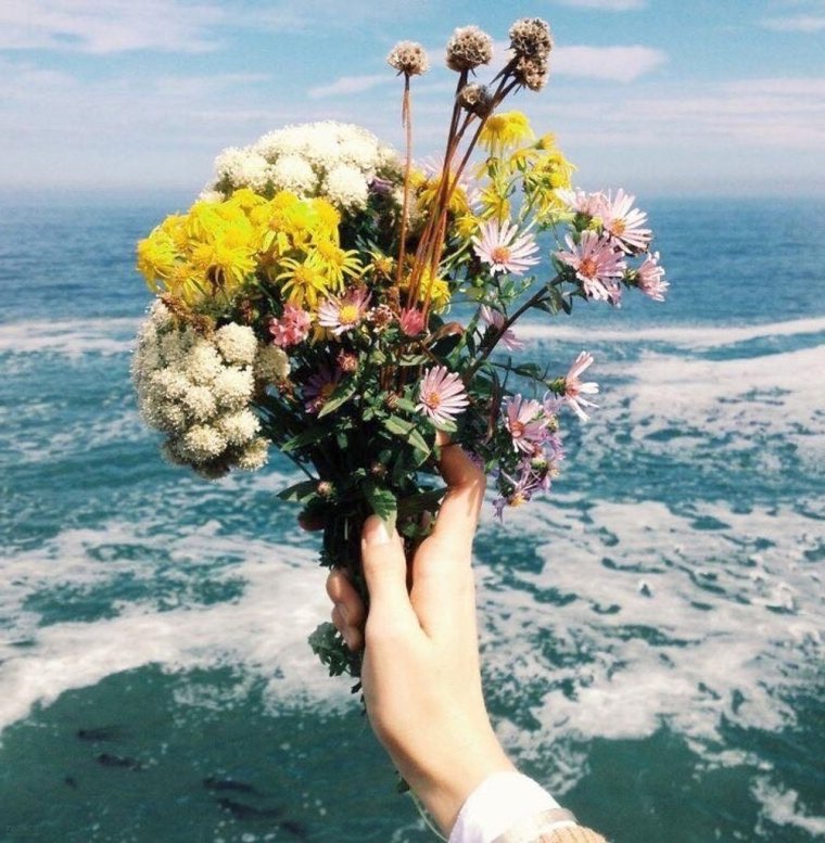 Цветы картинки красивые букеты