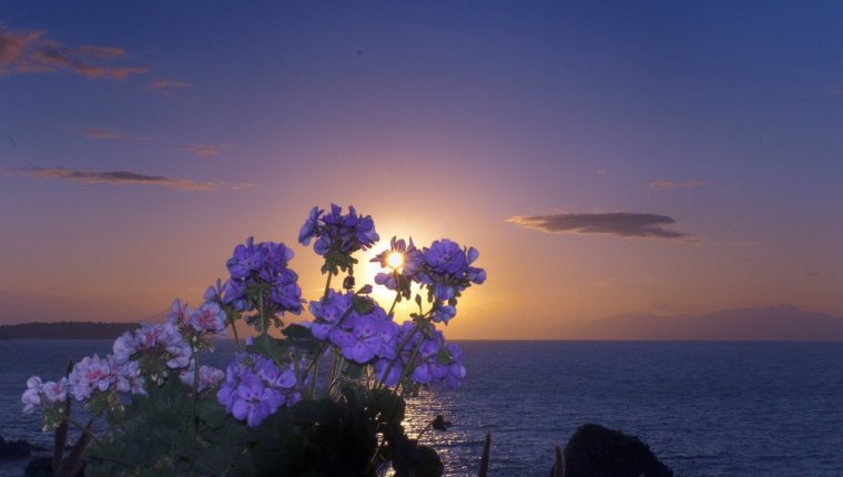 Море при закате солнца