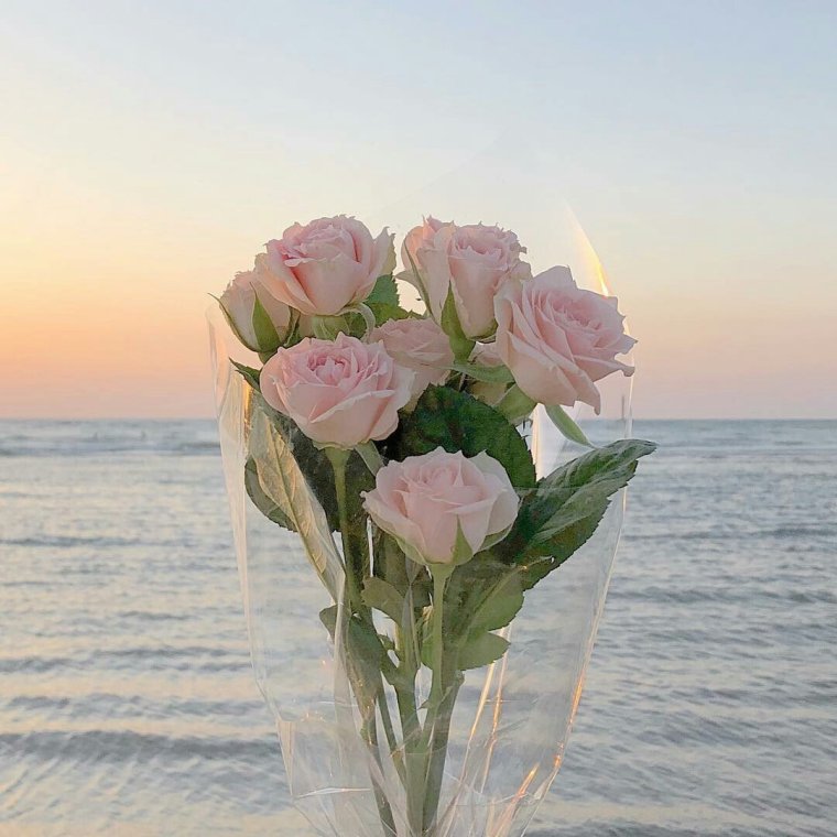 Одинокая роза