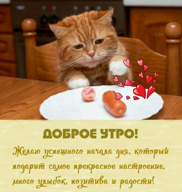 Фприкольныепожелагия с ДООБРЫМ утром