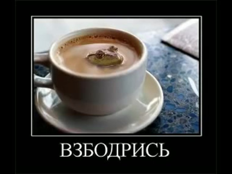 Смешные пожелания с добрым утром