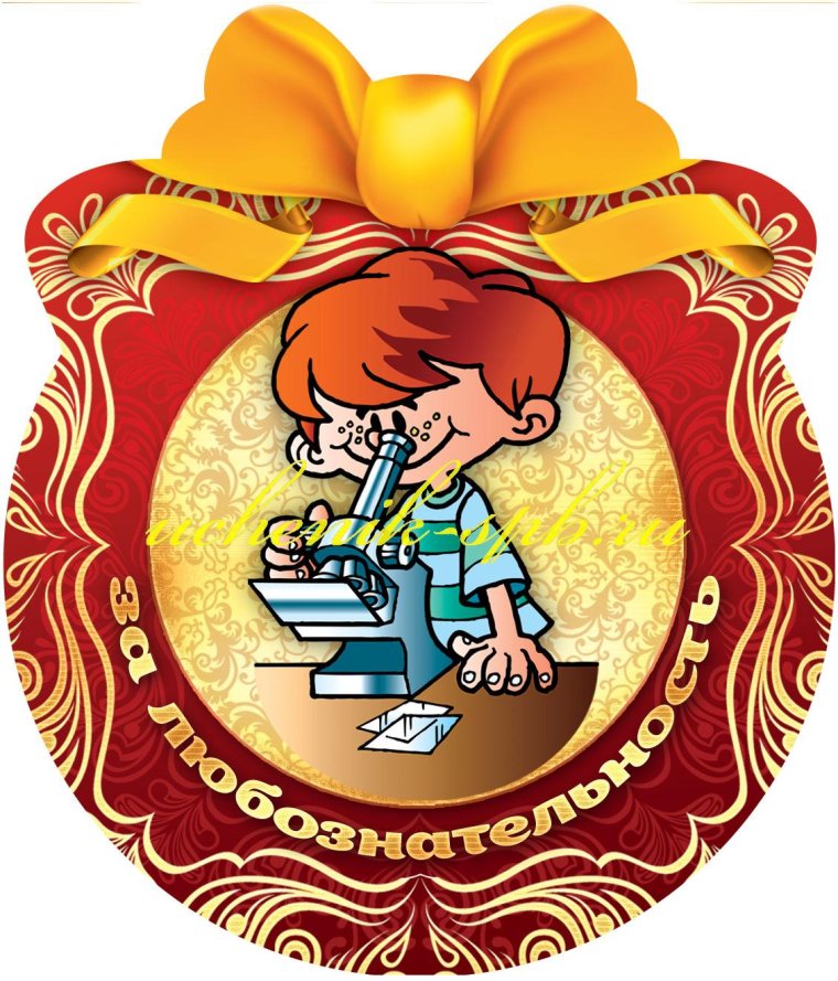 Медаль проебщика