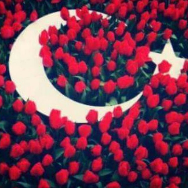 С днем рождения