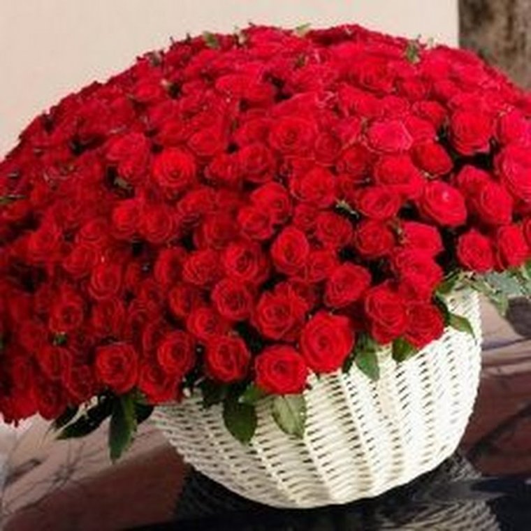 Красивый букет роз