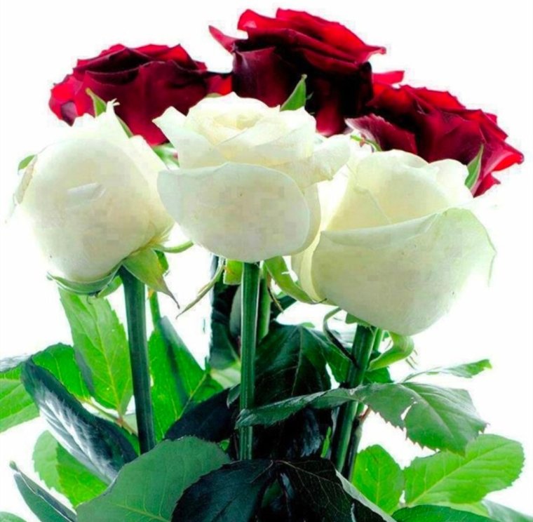 Фото Dogum gunun Kutlu olsun