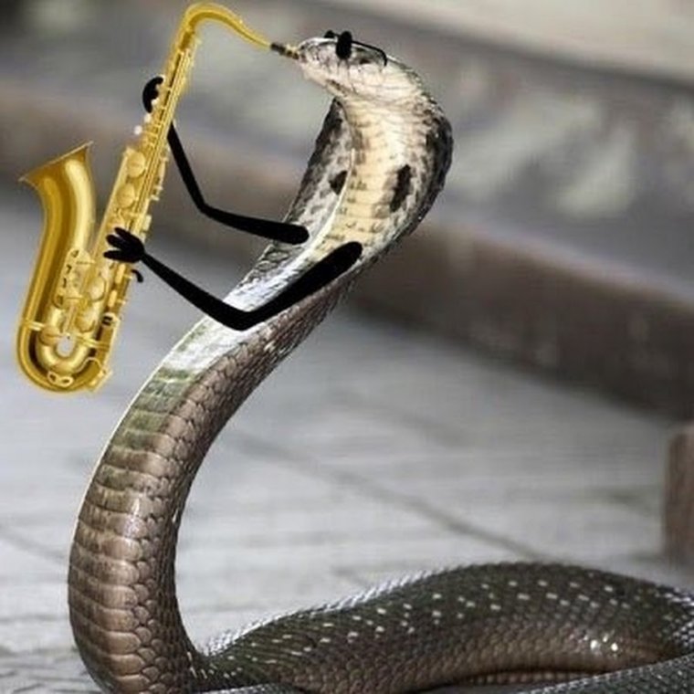 Гуарачеро субкультура