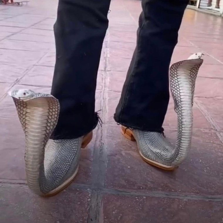 Туфли со змеями